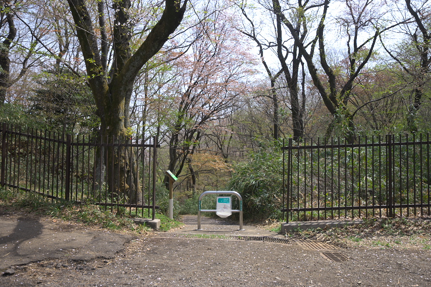 桜が咲いた七生口 - 平山城址公園