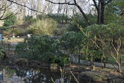 アセビが咲く池の南側 - 平山城址公園