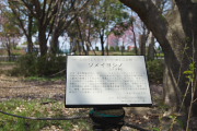 記念樹の樹名板 - 長池公園