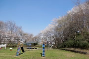 桜が咲く春の蓮生寺公園