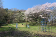 桜が咲くお祭り広場(2014) - 蓮生寺公園
