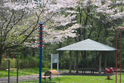 桜が咲く東屋付近 - 蓮生寺公園