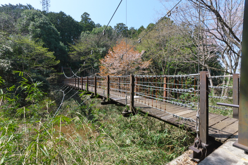 吊り橋と山桜 - 蓮生寺公園