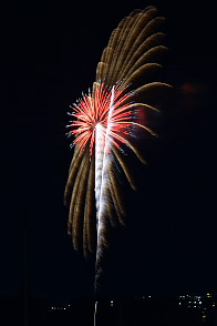 qsԉΑ 2012 3-18