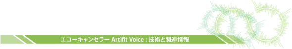 エコーキャンセラー Artifit Voice : 技術と関連情報