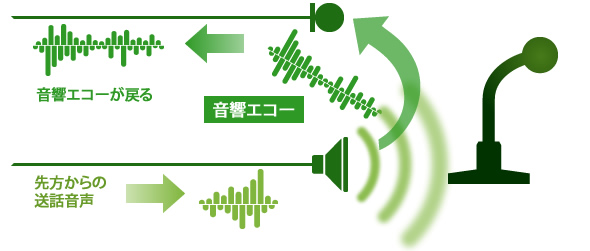 R[VXẽGR[LZ[