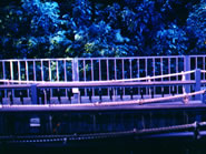 緑と都市の館 吊り橋型観客ステージ
