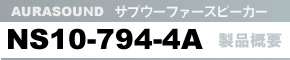 TuE[t@[ Xs[J[ AURASOUND NS10-794-4A iTv