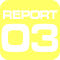 REPORT 03