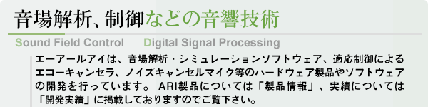 音場解析、制御などの音響技術 / Sound Field Control / Digital Signal Processing